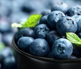 Australian Blueberries