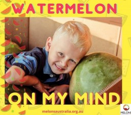  The Australian Melon Association